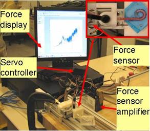 experimental setup